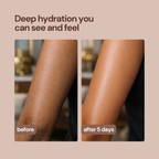 Whipped CremeMatte Body Lotion - Lightweight & Quick-Dry