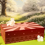 The Root Labs Express Advent Calendar