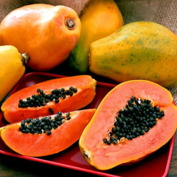 Papaya Extract