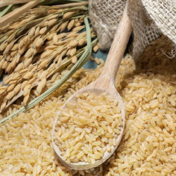 Rice Bran Oil